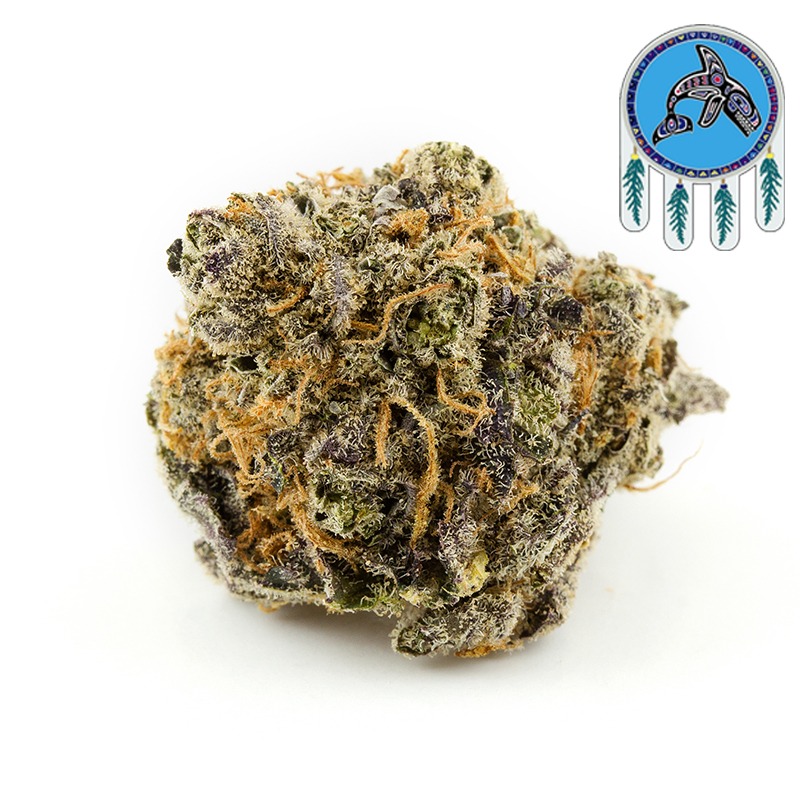 Blue Coma weed strain