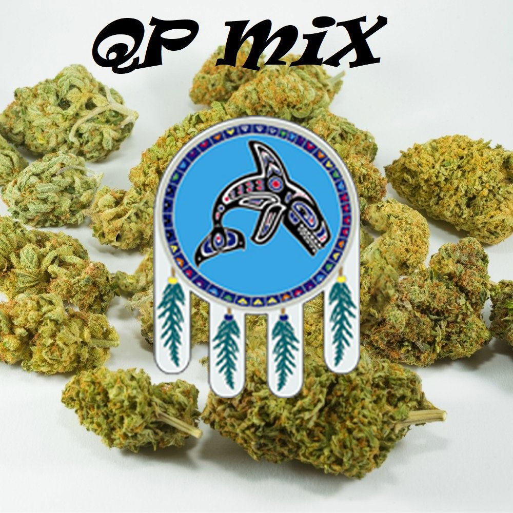 QP MIX 8 weed strain