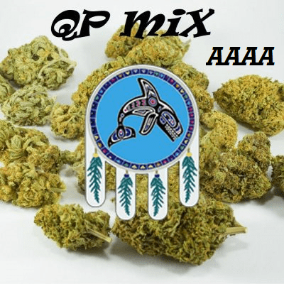 QP MIX 8 AAAA weed strain