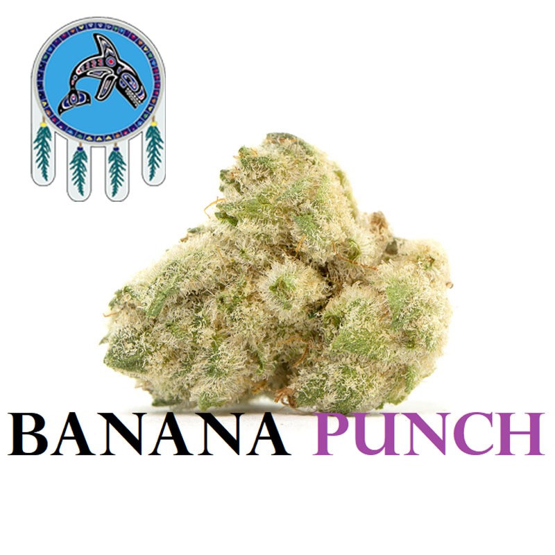 Banana Punch weed strain
