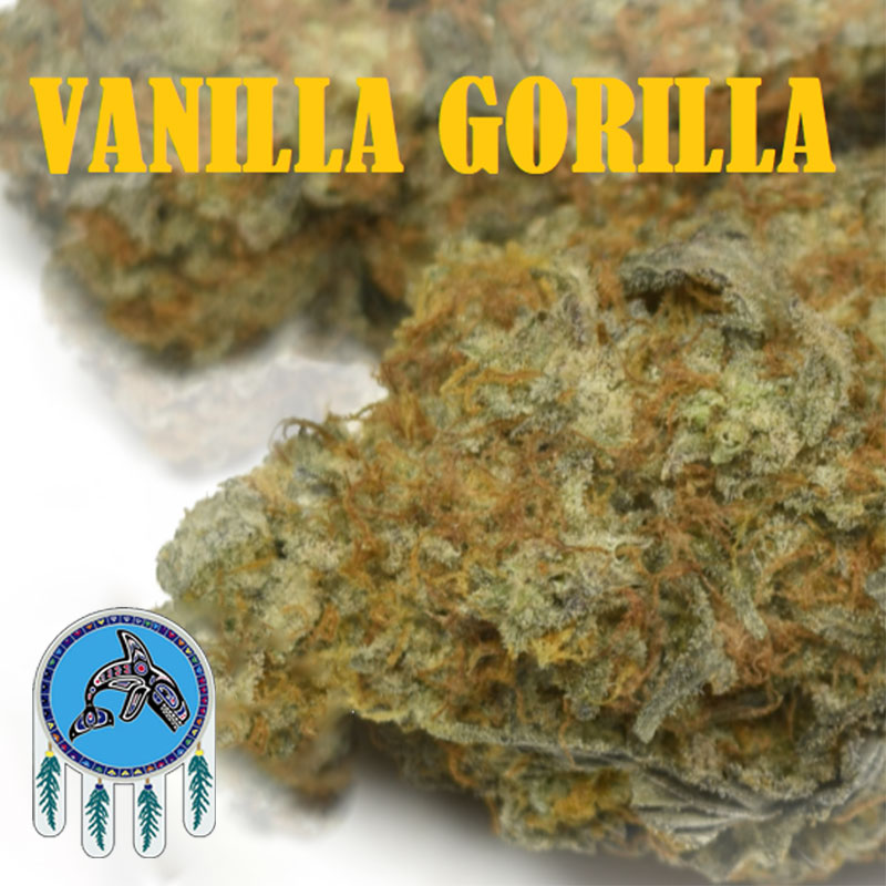Vanilla Gorilla weed strain