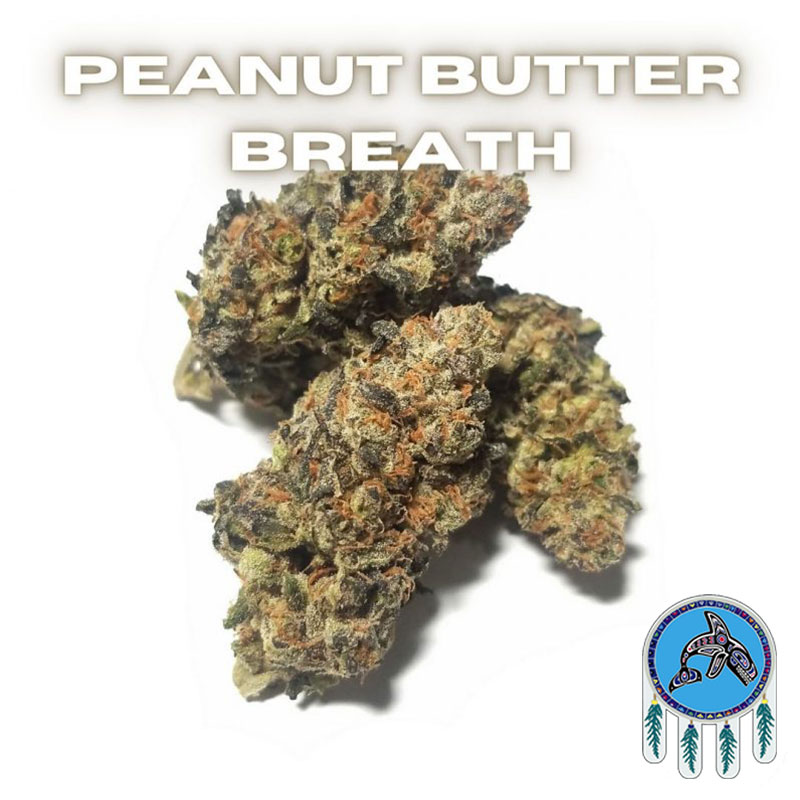 Peanut Butter Breath weed strain