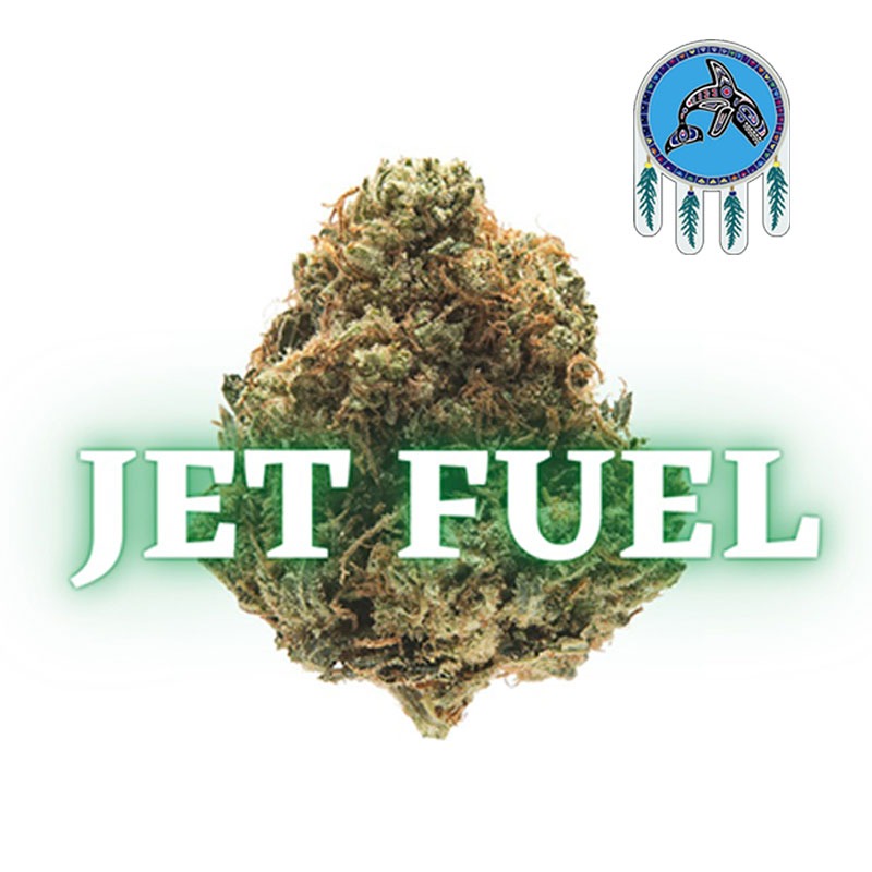 Jet Fuel weed strain
