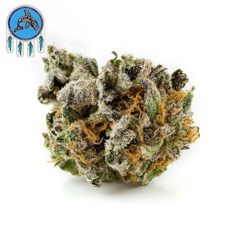 Blue Coma weed strain