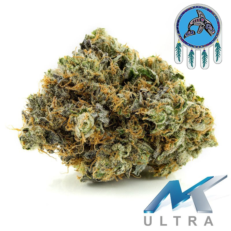 MK Ultra weed strain