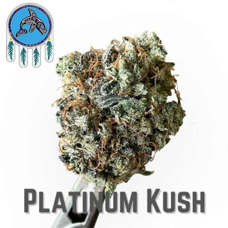 Platinum Kush weed strain