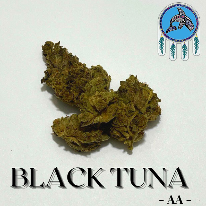 Black Tuna - AA - Bulk HP