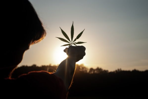 cannabis myths