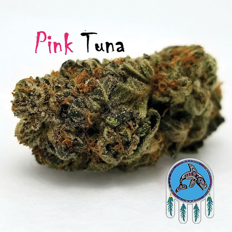 Pink Tuna weed strain