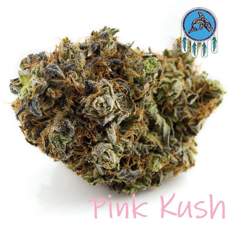 Pink Kush weed strain