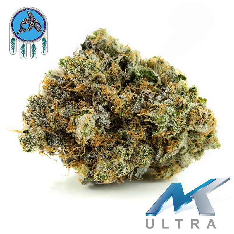 MK Ultra weed strain