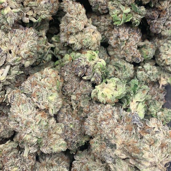 Four Star General weed strain