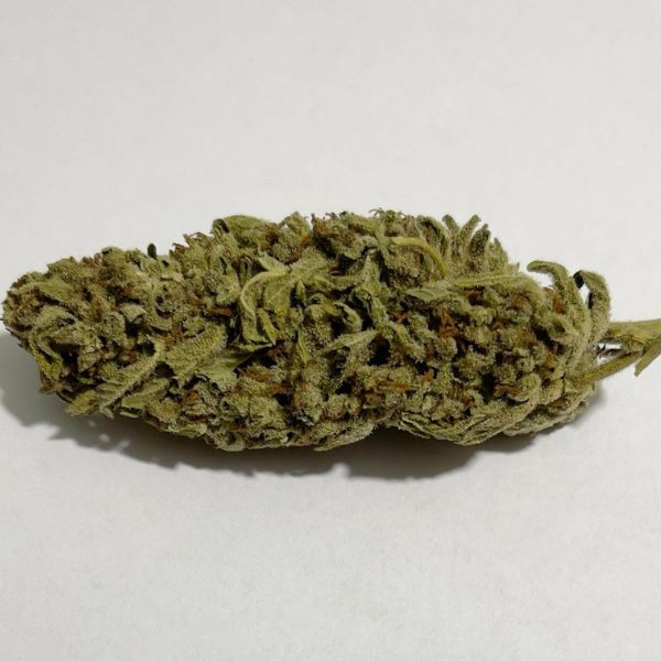 Amnesia Haze weed strain