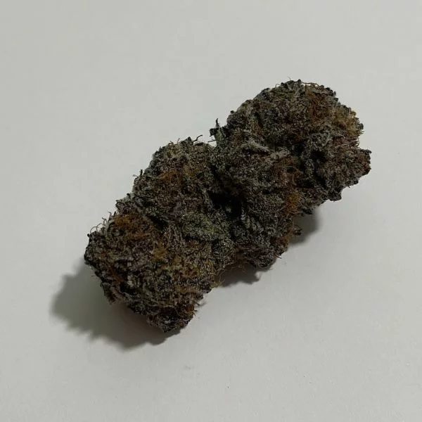 Purple Space Cookies weed strain