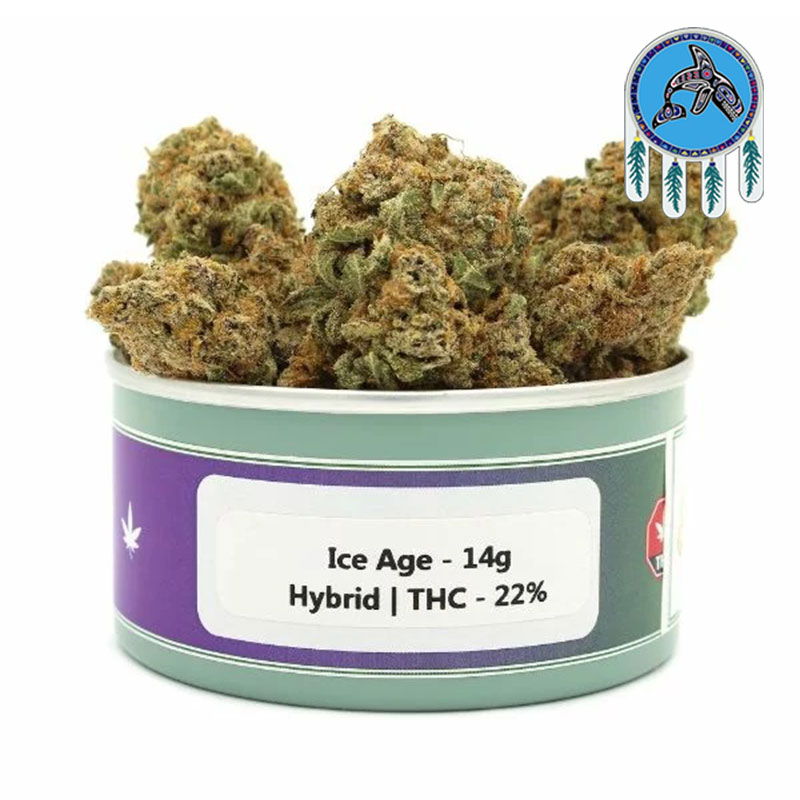 Good Times Cannabis Ice Age 14g (QUAD) weed strain