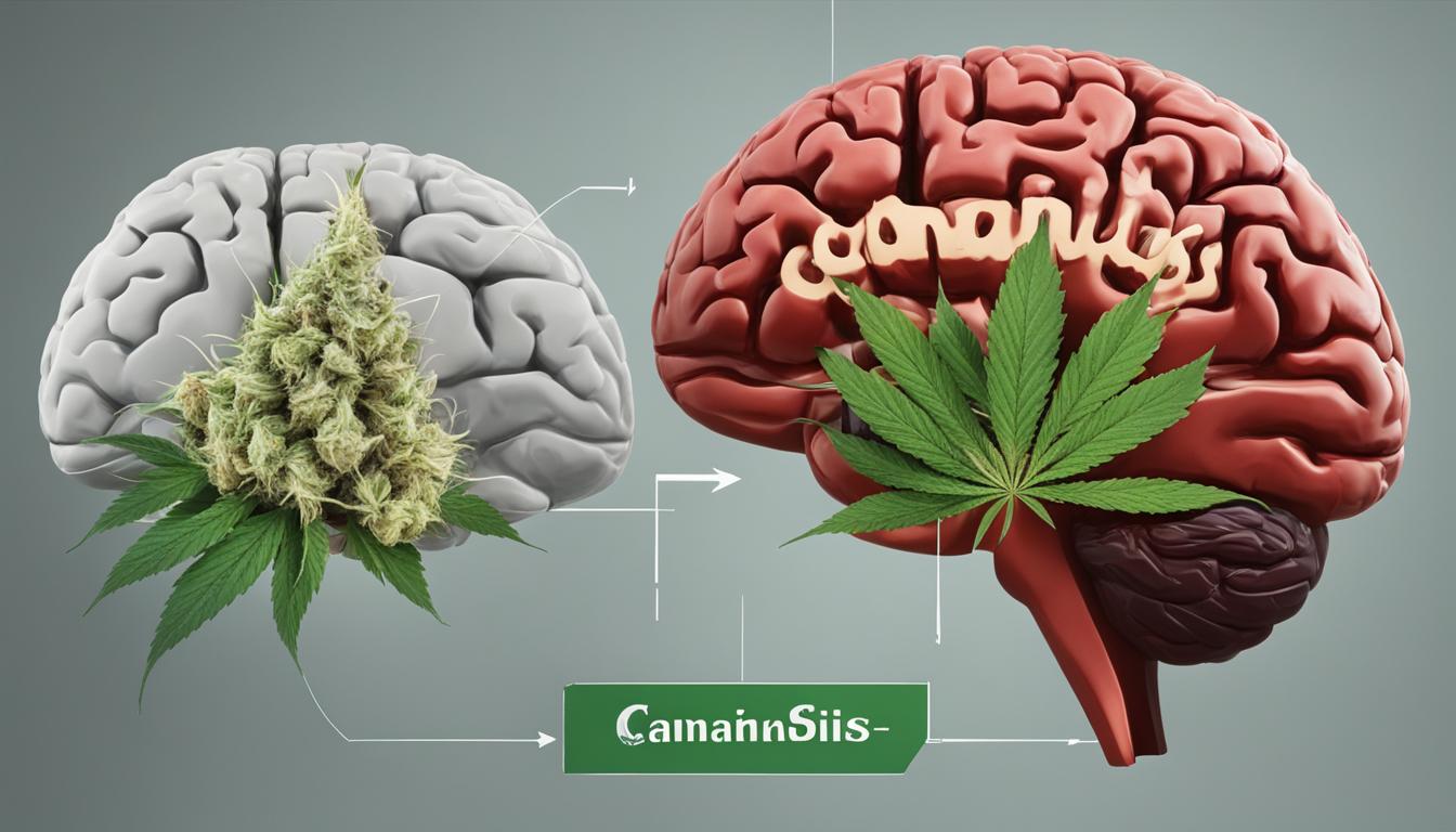 Effects of marijuana on brain development
