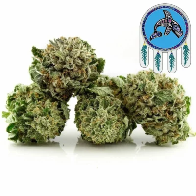 A marijuana plant with a blue eagle, symbolizing the best weed in Canada.