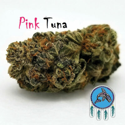 Pink tuna strain, a popular cannabis variety in Canada, known for its vibrant pink hues and potent effects.