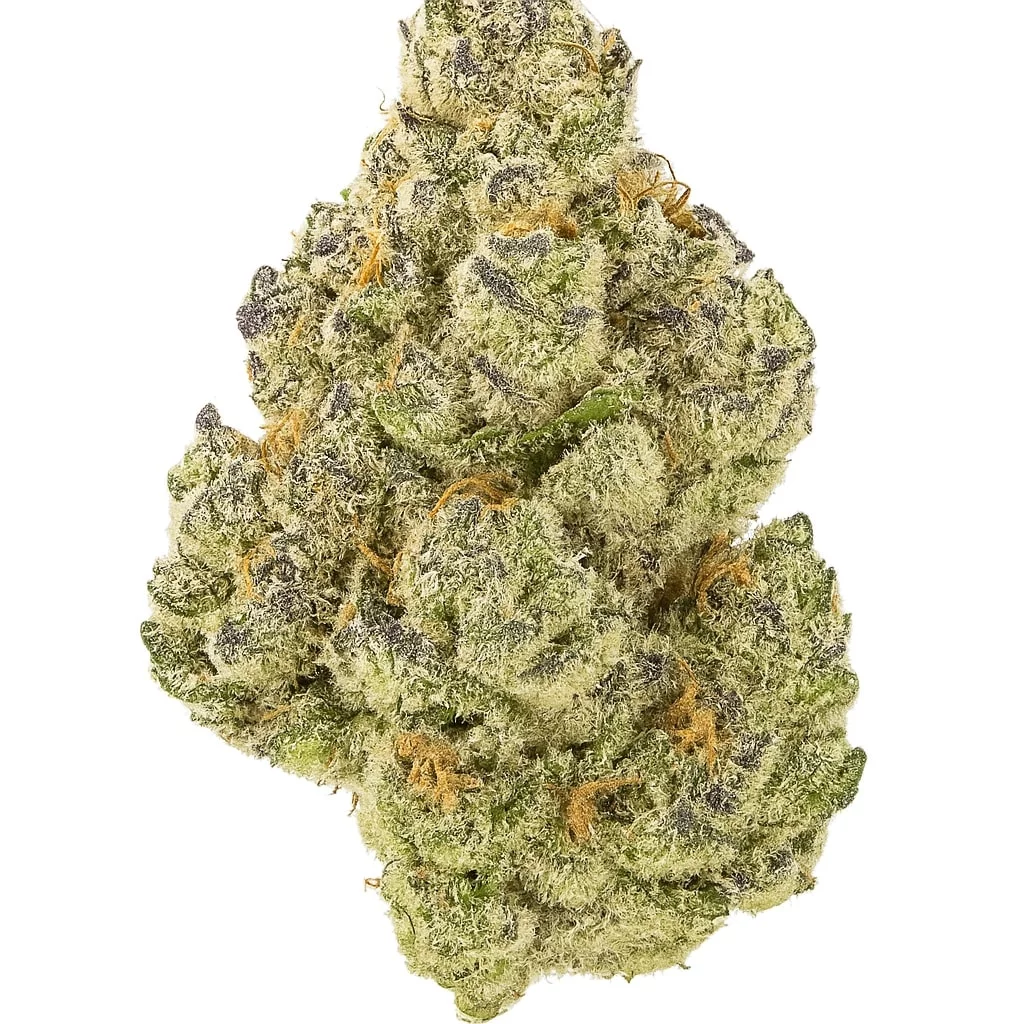 Gorilla Butter Smalls - AAAA